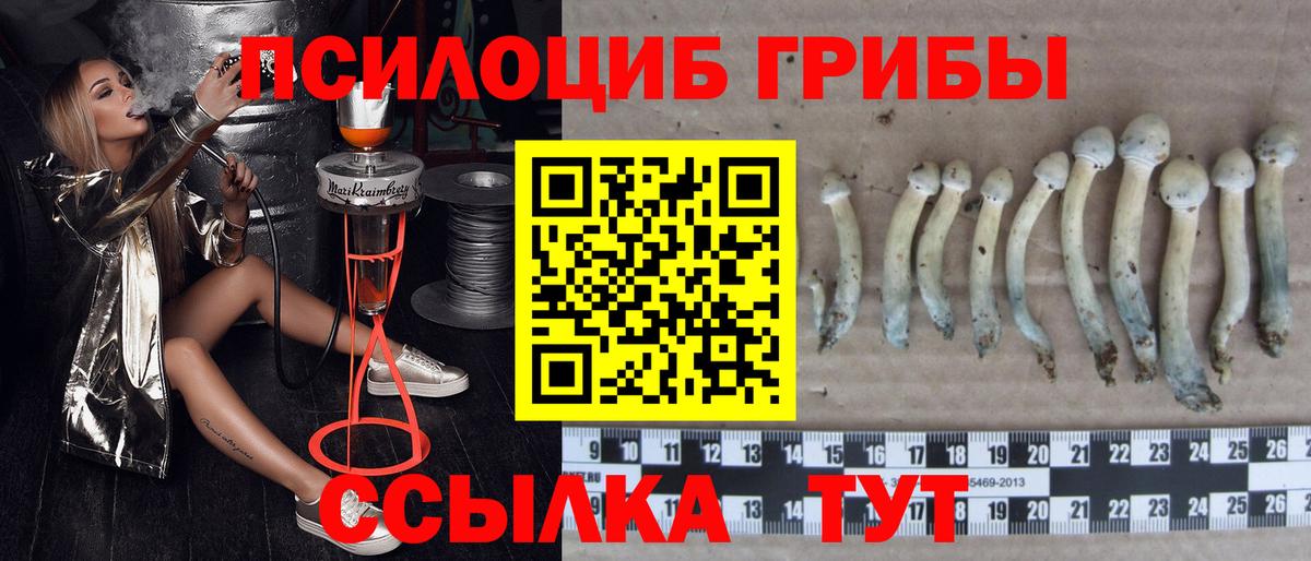 Псилоцибиновые грибы мухоморы  Вход с VPN  Псилоцибиновые грибы Psilocybine cubensis  Ликино-Дулёво 