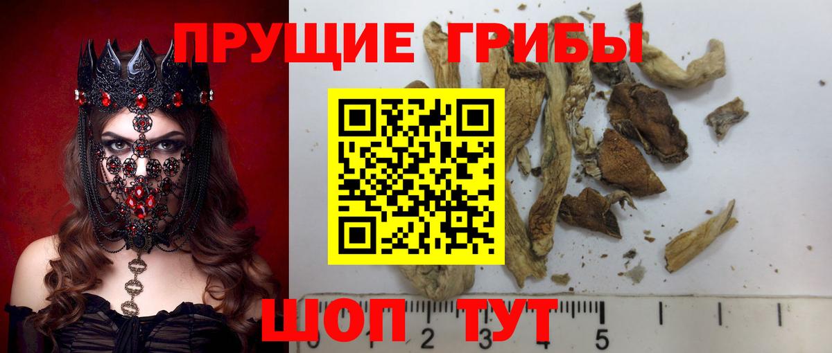 Псилоцибиновые грибы мицелий Ликино-Дулёво
